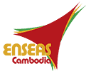 Enseas Logo